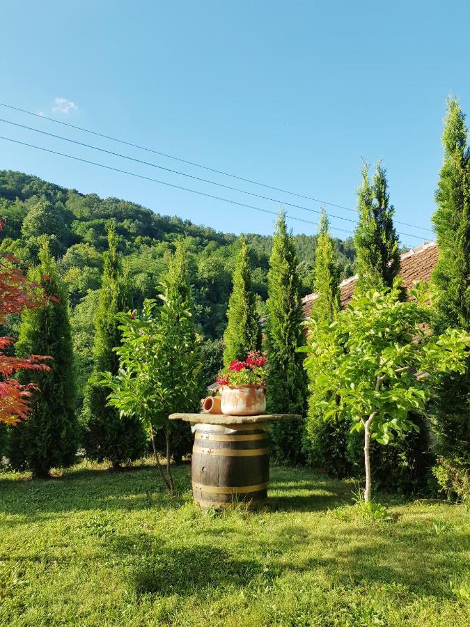 Family Hotel Chiflik Hills Екстер'єр фото